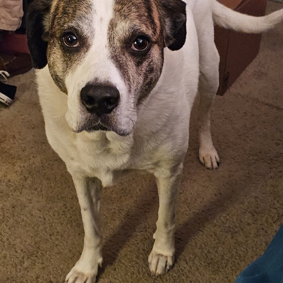 Share show 💜💜💜 - Picture 7 of 9